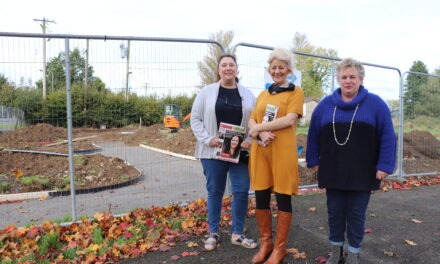 Westmeath community shows that getting a new playground was no child’s play