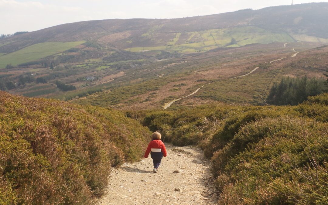 €2.4 million funding boost for walking trails