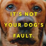 ‘It’s not your dog’s fault, it’s yours’ – new awareness campaign launched